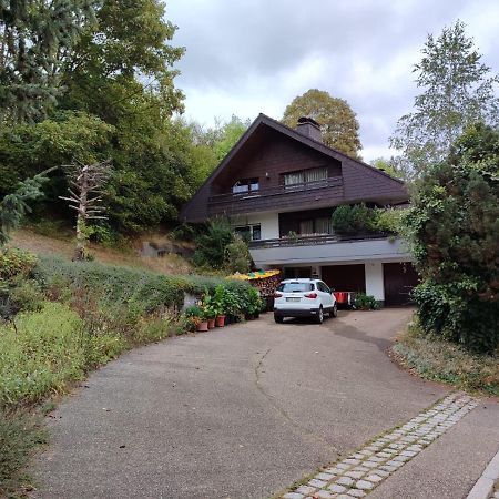 Feldbergsicht Apartamento Lenzkirch Exterior foto