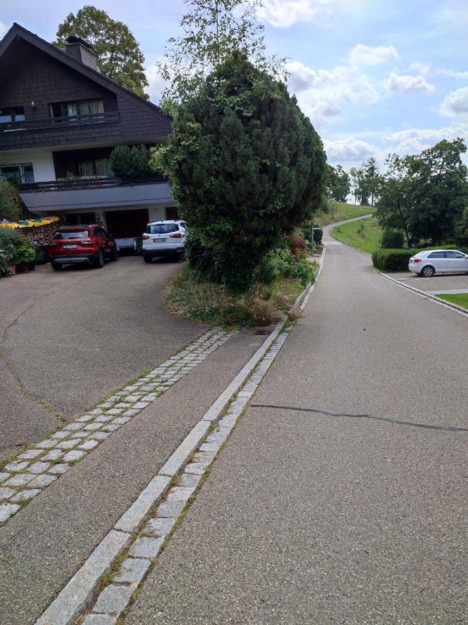 Feldbergsicht Apartamento Lenzkirch Exterior foto