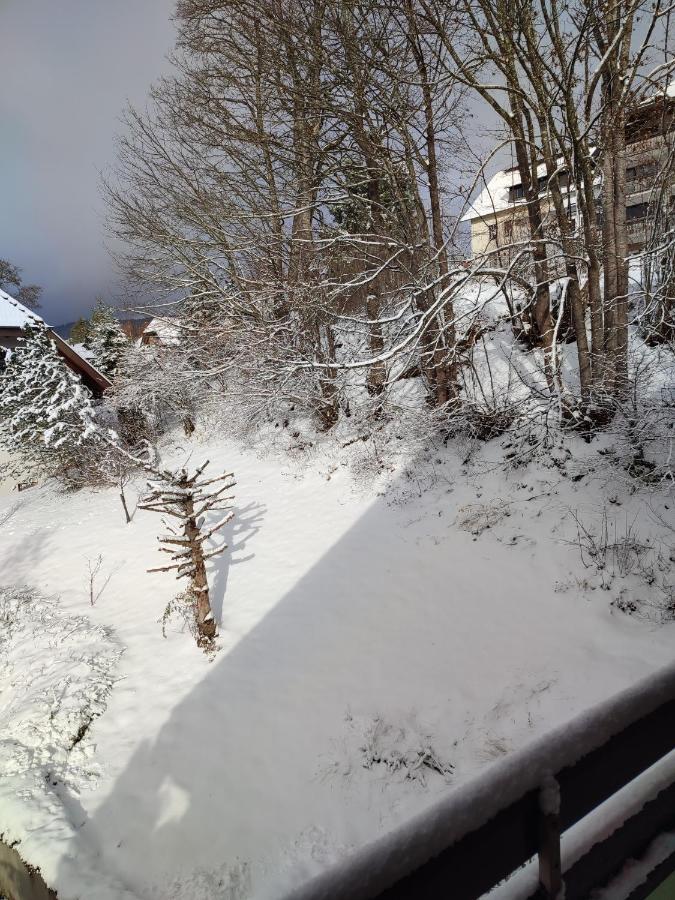 Feldbergsicht Apartamento Lenzkirch Exterior foto