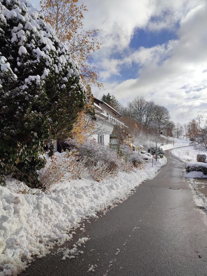 Feldbergsicht Apartamento Lenzkirch Exterior foto